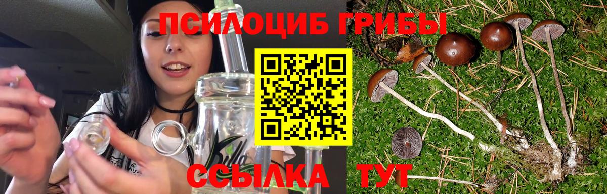 Псилоцибиновые грибы GOLDEN TEACHER Уссурийск