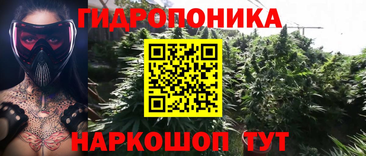 Уссурийск  Марихуана гибрид  Вход с VPN  Канабис AK-47  Конопля White Widow 